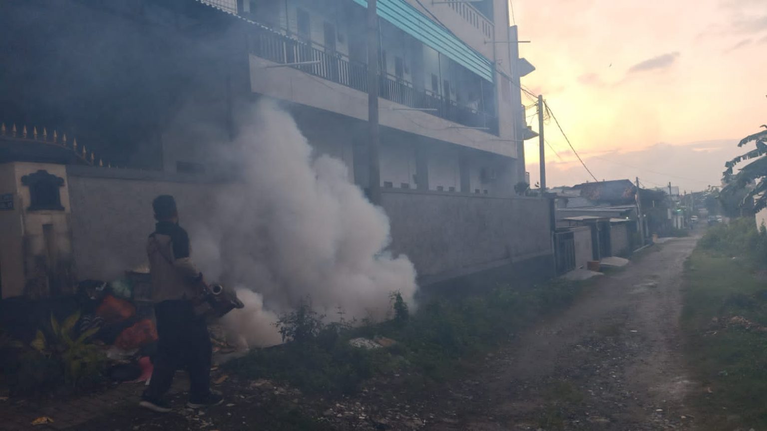 Waspada DBD dan Chikungunya, Pemkot Denpasar Lakukan Fogging 