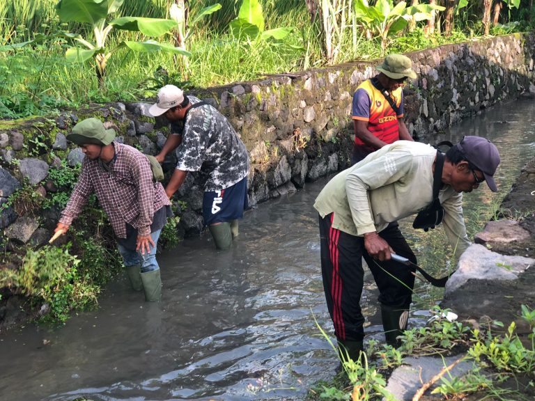 Serangkaian Peringatan Hari Desa Nasional 2025, Desa Kesiman Kertalangu Gelar Penanaman Pohon dan Sosialisasi Pemilahan Sampah