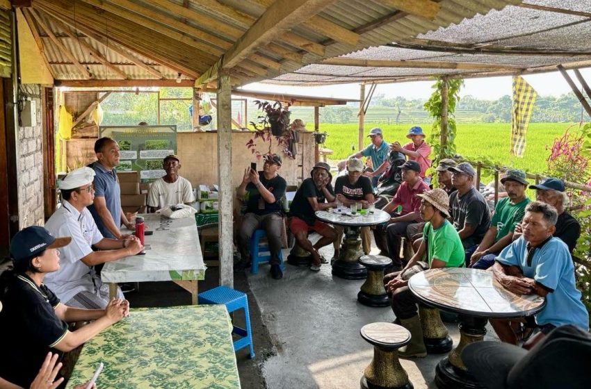  Pemkot Denpasar Bagikan Bibit Aneka Tanaman Untuk Petani di Subak Sembung