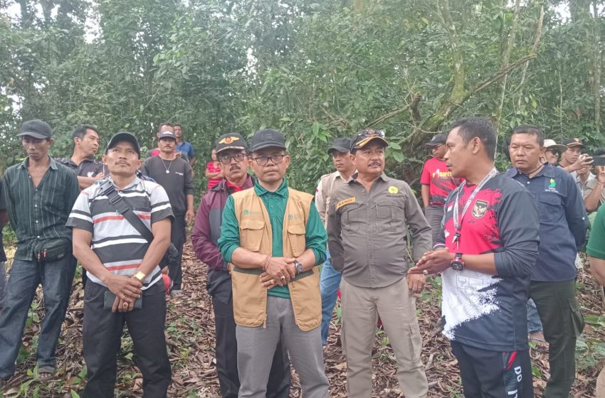 DKLH Bali Gerak Cepat Tanggapi Sorotan DPRD, Tinjau Langsung Hutan Desa Sepang