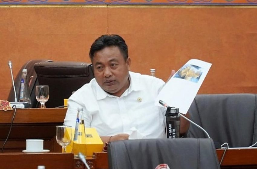  PANAS! Nyoman Parta Semprot BKSDA: Tugasnya Jaga Hutan, Bukan Jadi Makelar Beton di Kawasan Konservasi!