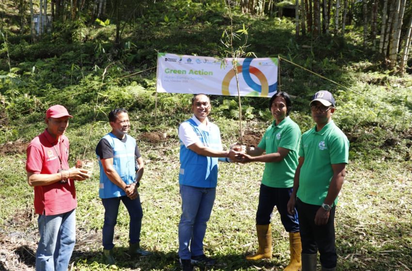 HUT ke-30: PLN Indonesia Power Gelar Aksi Hijau, Tanam 600 Bibit Bambu di Tabanan