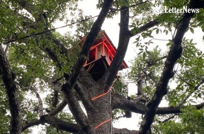 Misteri Cahaya Merah di Setra Buleleng: Ternyata Rumah Pohon Bersejarah Pengintai Kapal Belanda