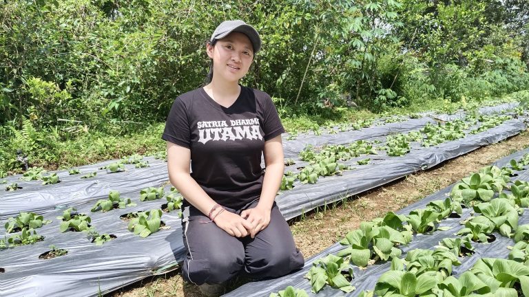 Kartini Modern dari Pematang Sawah: Kisah Meilanie Ary Sandi Bangun Bisnis Tani Lewat BRImo