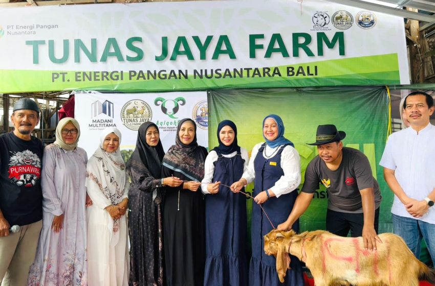  Sinergi Ekonomi Umat, ICMI Bali Sukses Gelar Pemotongan Qurban Serentak Nasional di Tunas Jaya Farm