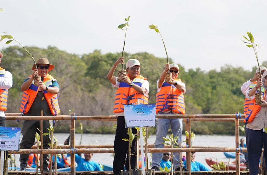  Perkuat Pesisir Bali, Gubernur Koster Inisiasi Gerakan Tanam Mangrove Bulanan Libatkan Pelajar