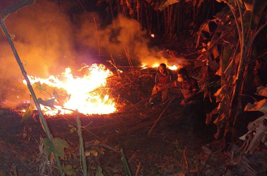  BNPB Rangkum Kebakaran Lahan di 4 Wilayah dan Banjir Parigi Moutong, Warga Diimbau Waspada