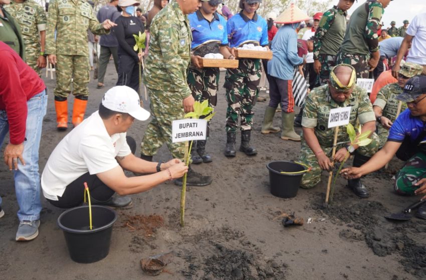  Peringati HUT ke-81 TNI, Bupati Kembang Hartawan Bersama Danrem 163/Wira Satya Pimpin Penanaman 9.200 Mangrove di Tuwed Park
